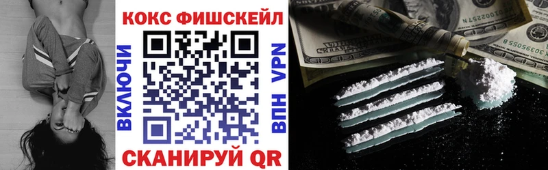 КОКАИН FishScale  гидра как зайти  Каменка  купить  