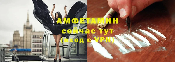 сатива Абаза