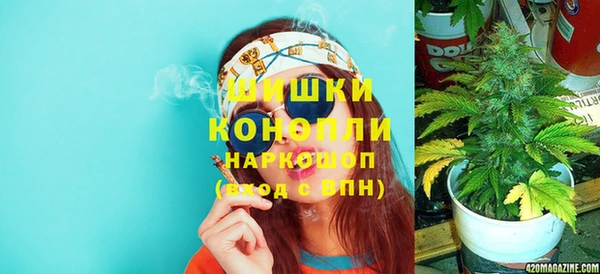 сатива Абаза