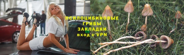 сатива Абаза