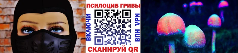 Псилоцибиновые грибы Cubensis  Каменка 